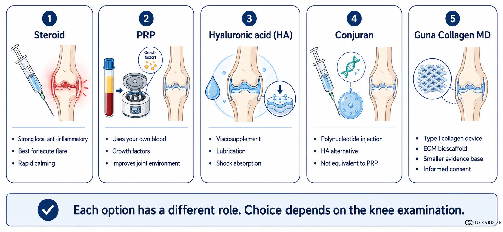 knee option diagram dge knee option diagram dge