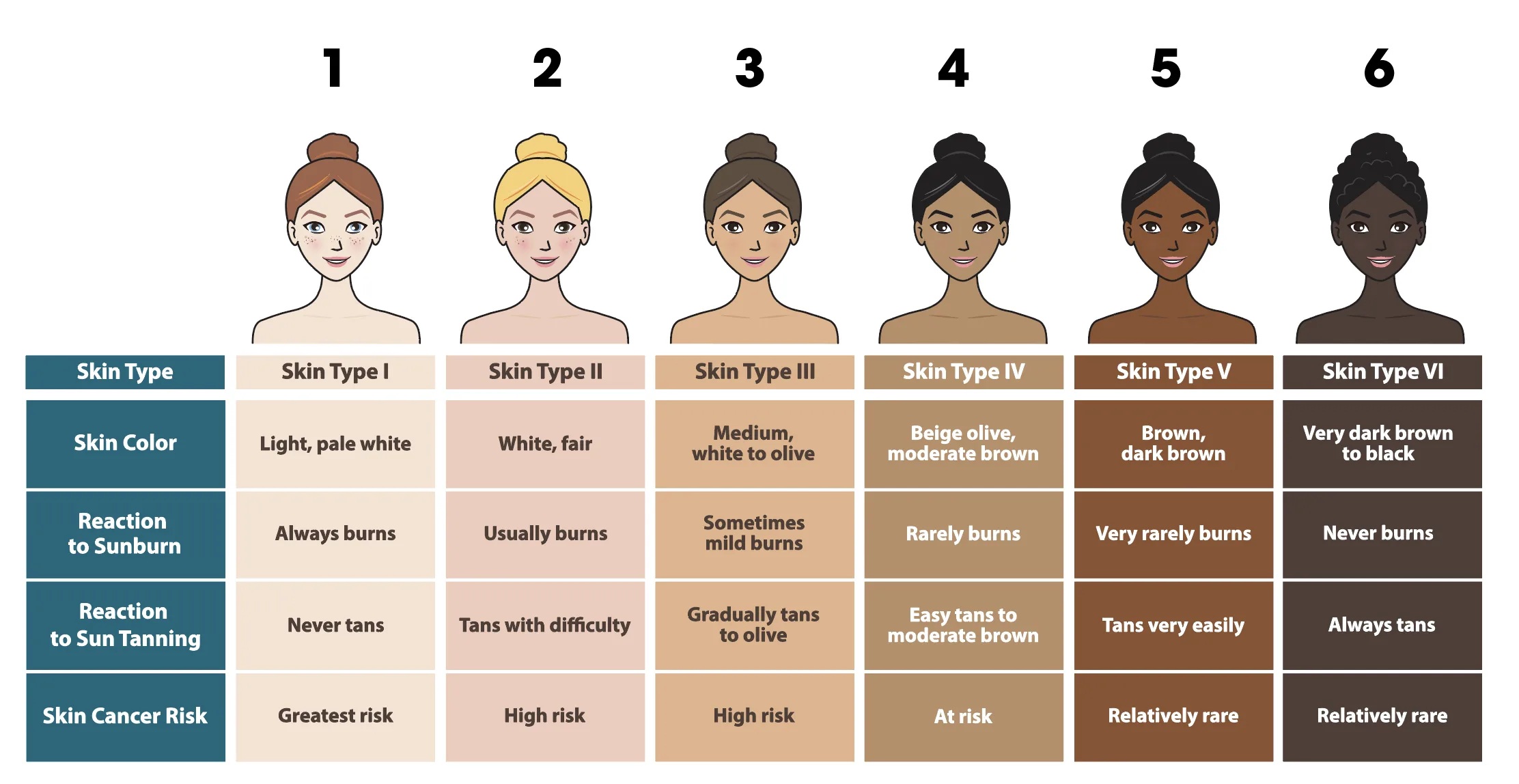 Fitzpatrick skin types