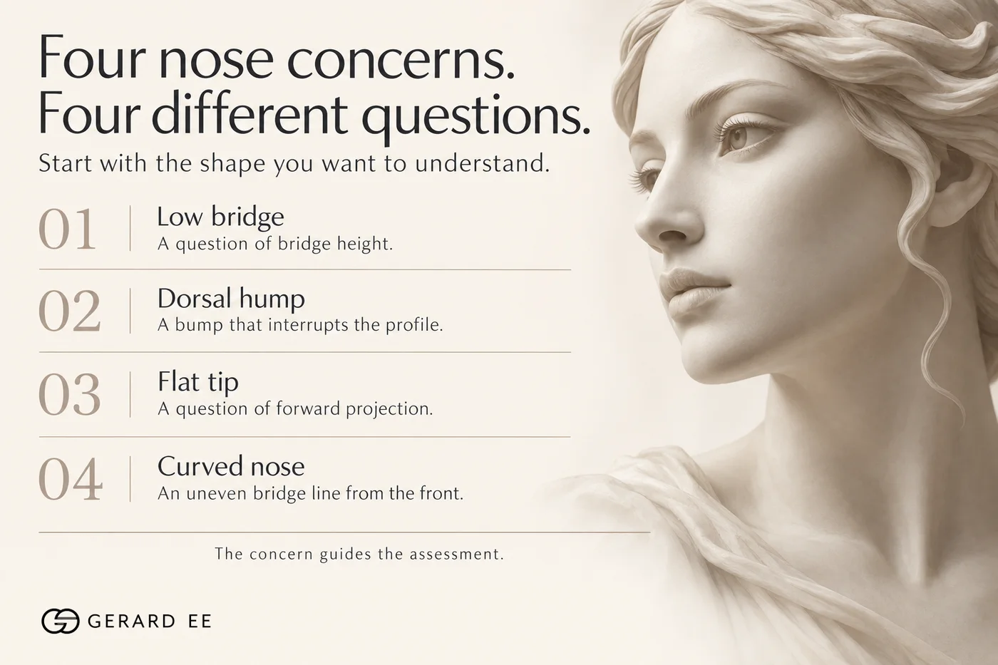 Four nose concerns: low bridge, dorsal hump, flat tip and curved nose