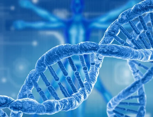 Introduction to Longevity