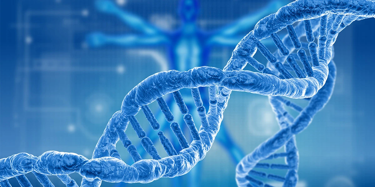 Genetics and longevity