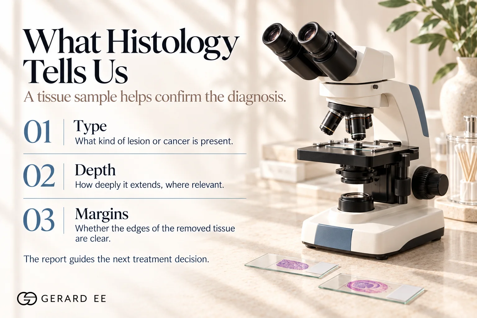 What skin cancer histology tells you, the type of lesion, its depth and whether the margins are clear