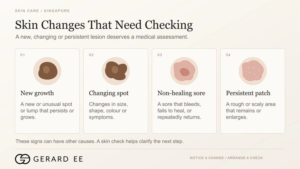 Skin changes that need checking for skin cancer, a new growth, a changing spot, a non-healing sore and a persistent scaly patch